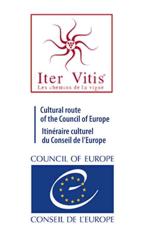 Iter Vitis